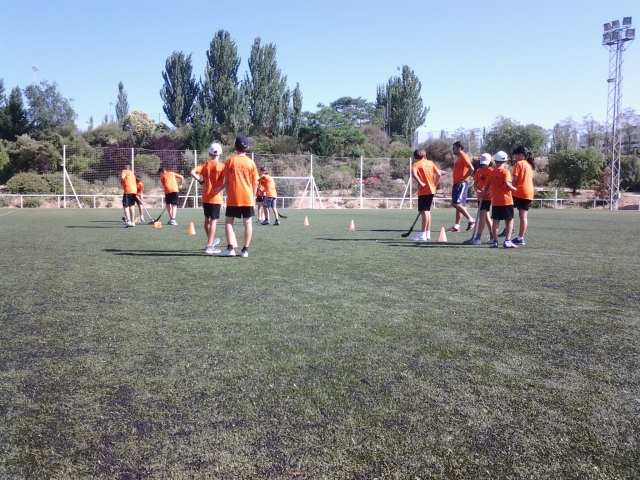 Posición de los equipos